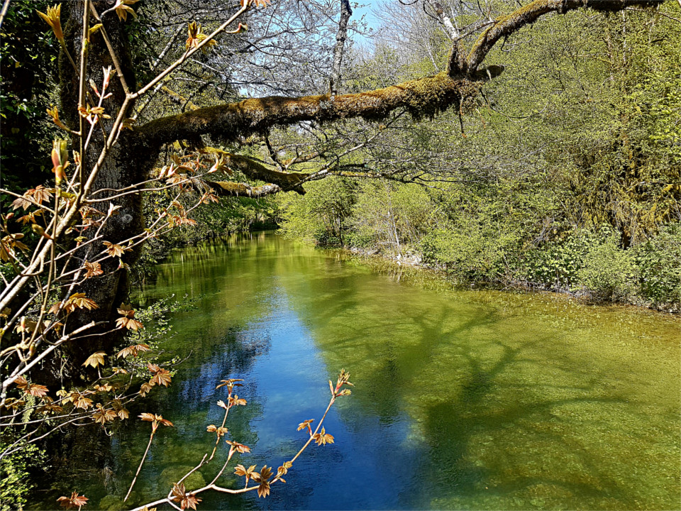 Pêche de la truite sur l'Albarine aux leurres